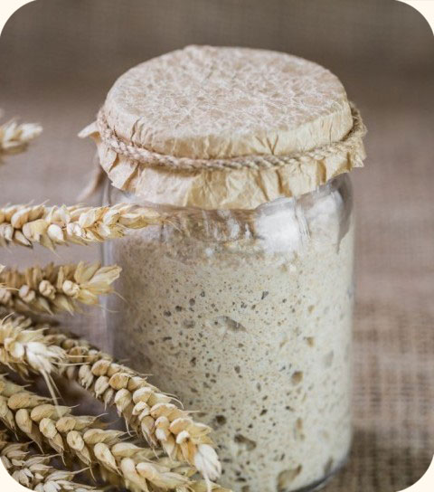 Levain maison